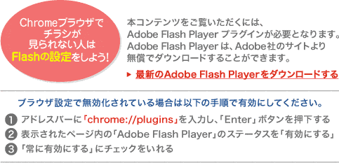 本コンテンツをご覧いただくには、Adobe Flash Playerプラグインが必要となります。
	AdobeFlashPlayerは、Adobe社のサイトより無償でダウンロードすることができます。